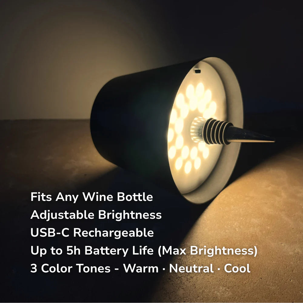 Lampada LED da bottiglia💡🍾